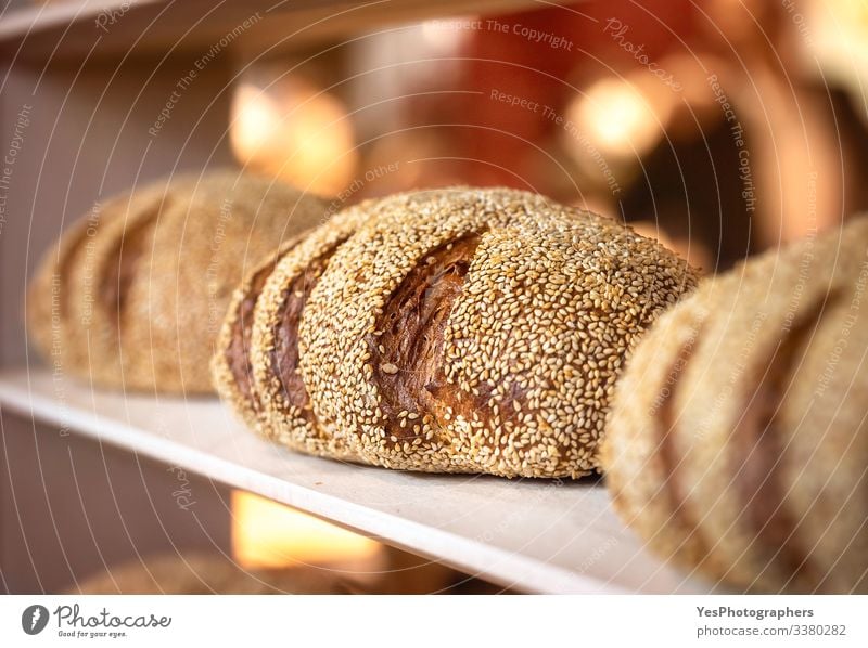 Bread Roll Nutrition Shopping Healthy Eating Tradition Baked goods baker shop Bakery Black bread bread buns bread rolls carbs Consumption Crust crusty food