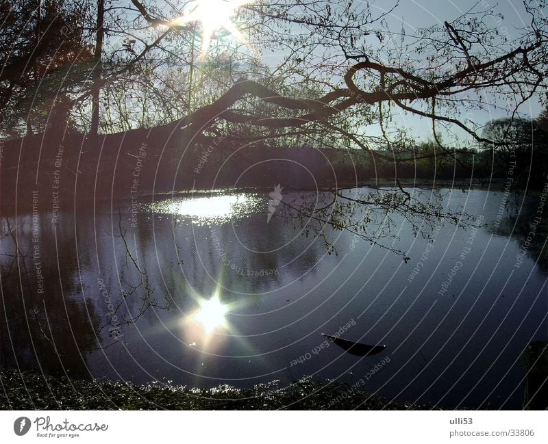 autumn day Light Autumn Back-light Reflection Water Sun Sunlight Lakeside glimmer of hope pond landscape