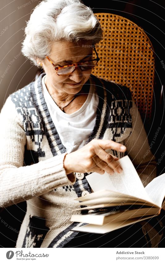 Elderly woman reading by window with enthusiasm book elderly knowledge literature concentrate information intelligent smart creative glasses relax hobby