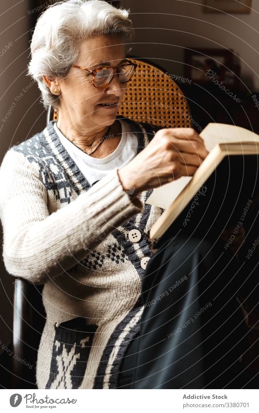 Elderly woman reading by window with enthusiasm book elderly knowledge literature concentrate information intelligent smart creative glasses relax hobby