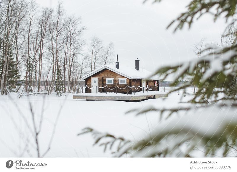 Rural house in snowy forest winter tree countryside nature rural landscape white cold season leafless scenic weather tranquil travel swedish lapland norrbotten