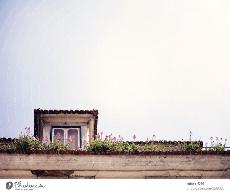 Lisbon's roofs II Art Esthetic Portugal Car Window Roof Derelict Sky Weed Summery Summer's day Colour photo Subdued colour Exterior shot Close-up Detail