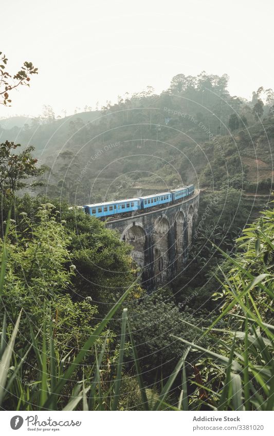 Train on bridge amid lush plants in mountains train tropical landscape green exotic woods rainforest fog stone construction sri lanka asia old aged ancient