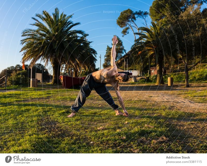 Strong man doing yoga in a park posture nature blue sky palm tropical exotic balance stretch paradise shirtless peace meditate flexible harmony male healthy fit