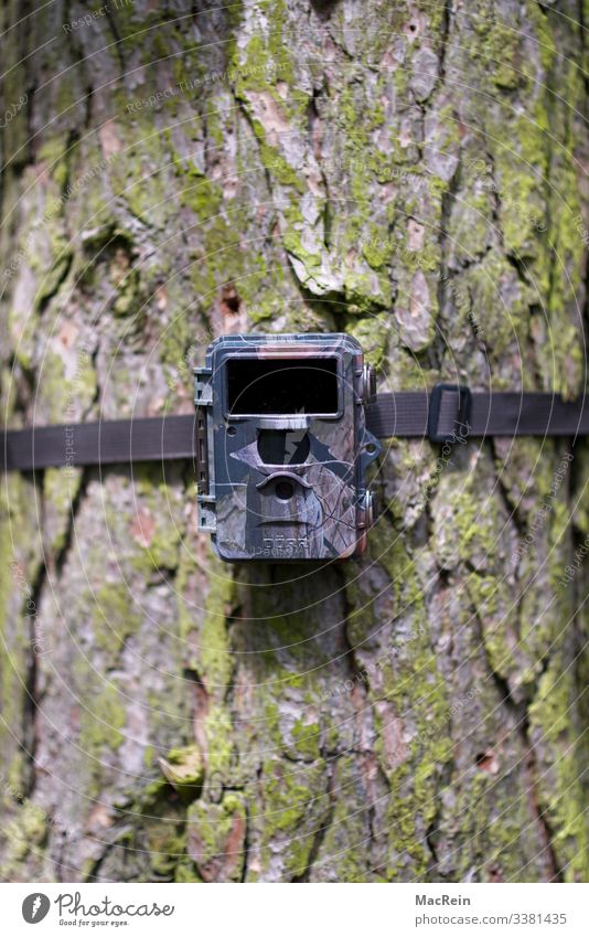 Light barrier_motion detector photo trap Wildlife camera Hunting camera Night vision camera Infrared Exterior shot Nature Forest Deserted Tree Landscape