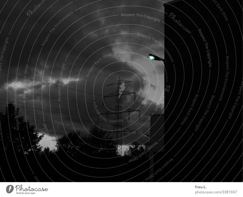 green Hamburg Deserted House (Residential Structure) High-rise Threat Dark Green Lamp animal hospital Clouds Tree Loneliness Electricity pylon Colour photo