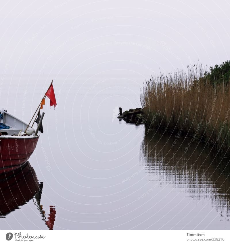 A good time. Vacation & Travel Environment Nature Elements Water Sky Plant Fjord Denmark Navigation Watercraft Stone Sign Swimming & Bathing Looking Wait