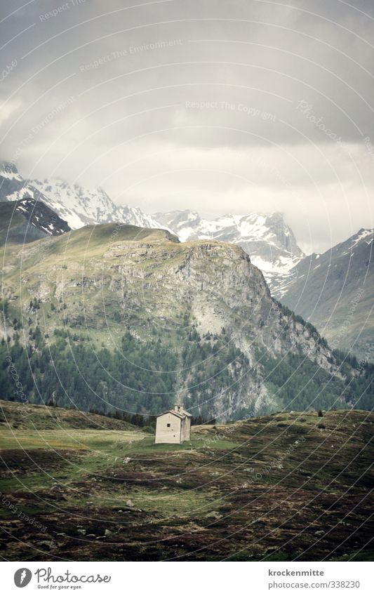 blessing of the Alps Environment Nature Landscape Earth Sky Clouds Storm clouds Bad weather Fog Bushes Moss Hill Rock Mountain Peak Snowcapped peak Deserted