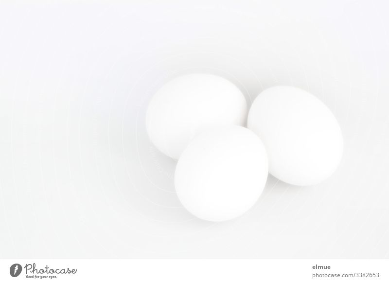 three white eggs Egg White Highkey Departure Easter Eating food products Hen's egg chicken Nutrition Easter egg Interior shot Breakfast colourless Monochrome