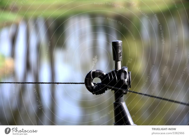 Do not enter the shore zone! A pond, in which trees and sky are blurredly reflected, is protected by an electric wire, which is guided by a holder on a metal rod