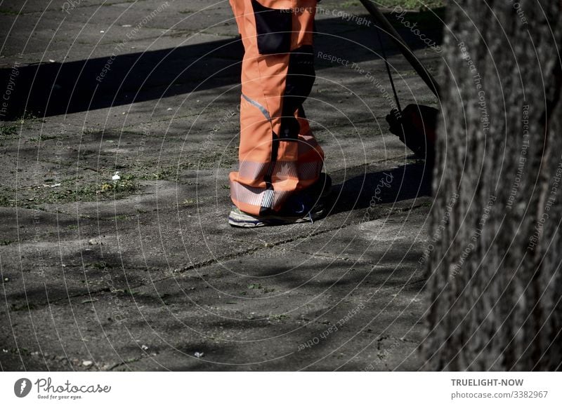 City cleaner in orange during spring cleaning of the grey concrete slabs next to a blurred partial view of a tree in the foreground Man Spring cleaning