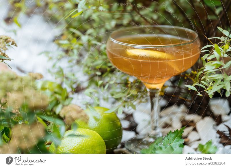 Chilled glass of cocktail on decorated table chilled alcohol festive refreshment lime plant beverage drink fruit liquid party colorful elegant event cold lemon