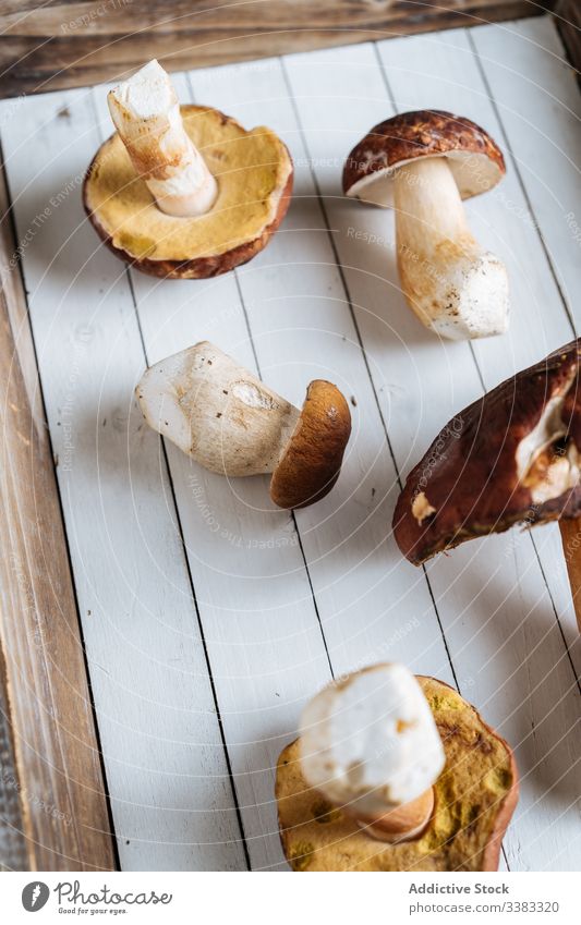 Harvest of ripe mushrooms on white table harvest forest food brown tasty delicious fresh rustic organic nutrition yummy gourmet nature appetizing natural