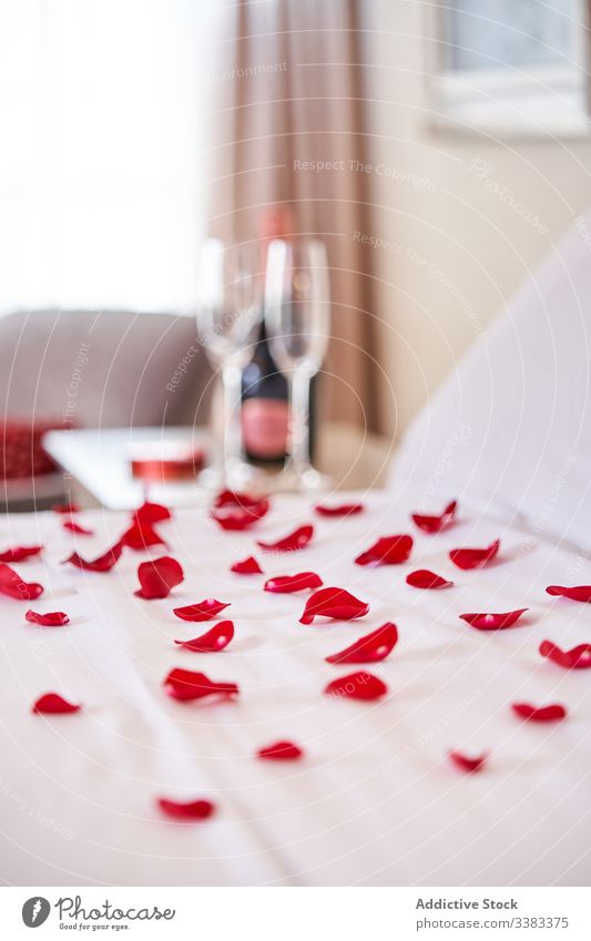 Decorated bedroom for romantic date at home petal rose valentine wineglass concept drink holiday flower surprise celebrate beverage romance aromatic hotel