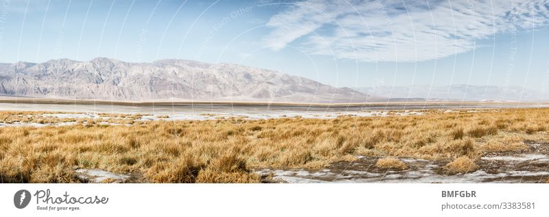 salt creek in Death Valley USA Salt Creek Sand arid country endemic Territory off Geology Environment Badlands plants Grass dead Brook Promenade mountain ardor