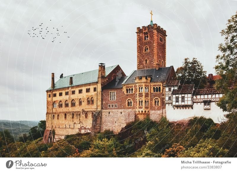 Wartburg Eisenach, Thuringia Wartburg castle History of the Culture Tourist Attraction Architecture stonewall Facade Tower Window trees Bushes Sky Clouds Large