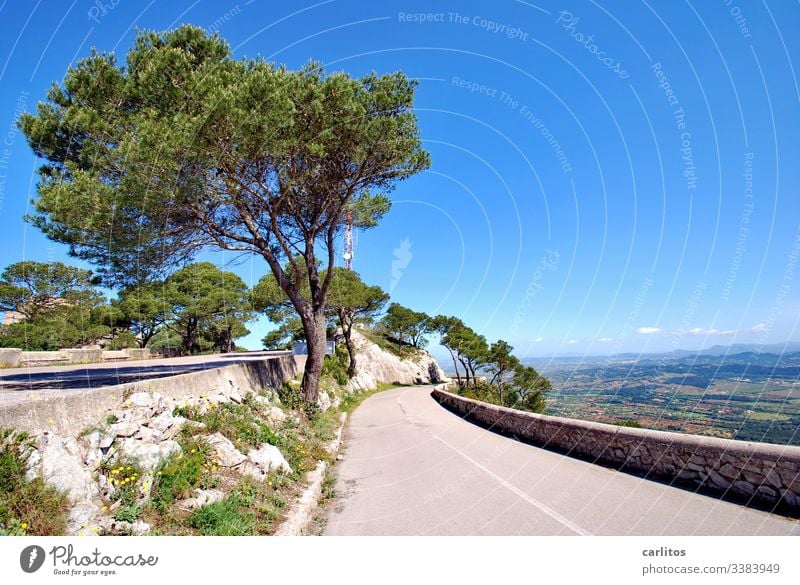 Puig de Sant Salvador Spain Majorca mountain Street Natural stone wall pines Aleppo Pine Vantage point Far-off places Vacation & Travel Sky Landscape Summer