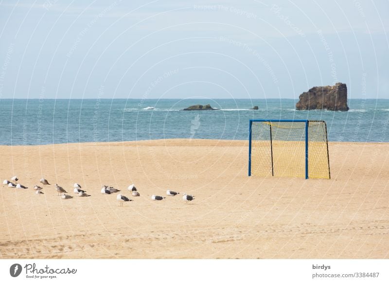 Lonely soccer goal at the deserted beach of Nazare, Portugal, a group of seagulls in the sand, Atlantic Ocean in the background and rocks in the sea Beach