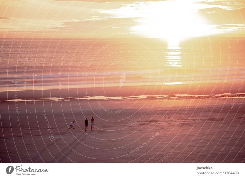 Three young people on a beach at sunset Sunset Sunlight Sunlight at sea Beach youthful Future Hope children Youth (Young adults) Playing Happy Joy Summer