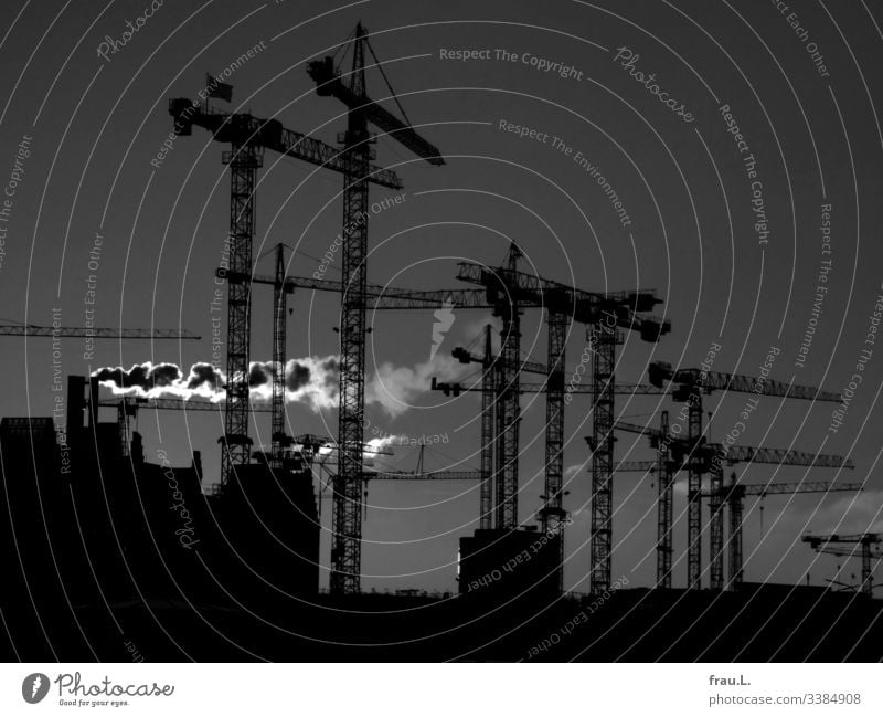 cranes Harbour Port City Sky Elbe Chimney Smoke smoke Twilight Hamburg