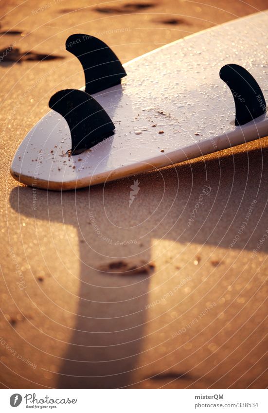 tail shape. Art Esthetic Contentment Surfing Surfboard Surf school Tailslide Wooden board Beach Beach life Sand Sandy beach Vacation & Travel Relaxation Idyll