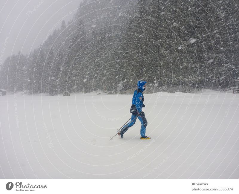 Man, totally blue! masculine more adult Snow Snowstorm Winter Cold Snowfall Storm Snowflake Weather Colour photo Environment Exterior shot Nature Bad weather