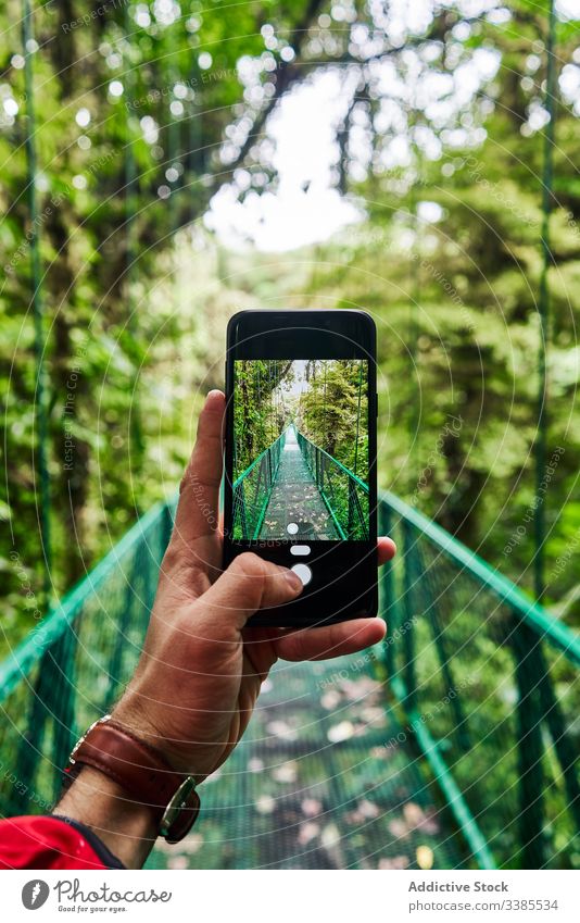 Crop tourist taking photo of bridge in jungle traveler take photo smartphone green modern summer nature costa rica device gadget mobile lifestyle journey