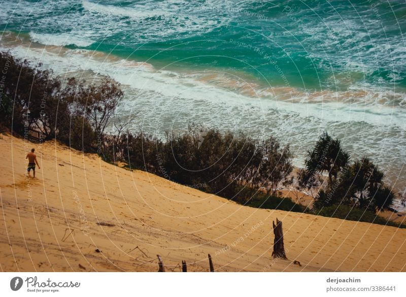 A man walks down the Great Sand Dune to the sea. Ocean Water Surf Waves White crest Nature Exterior shot coast Colour photo Elements Copy Space top Environment