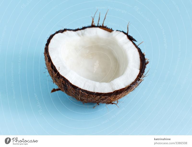 Coconut piece on a light blue background coconut keto fruit close up pastel ingredient nutrition vegan vegetarian veggie white brown sweet healthy keto diet