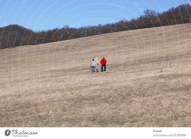 strolling uphill go uphill people Woman Man Child Girl Hands in pockets hold hands Jackets Forest Meadow Spring take a walk To go for a walk Nature