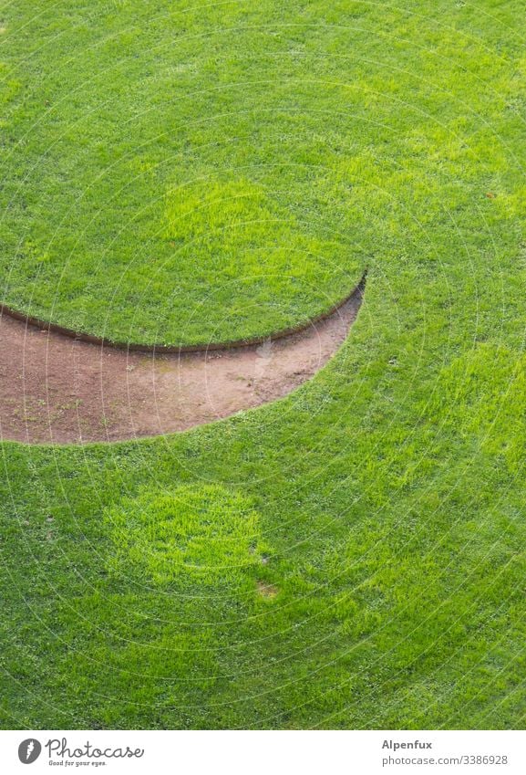 smiling grass Grass Green Meadow Lawn Nature Garden Exterior shot Colour photo Deserted Day Laughter Smiling Environment Summer Park Landscape