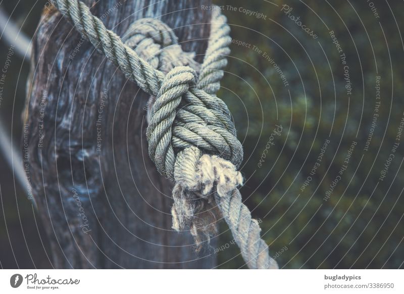 Thick rope tied around a fence post Knot Rope Dew Fence post Colour photo Day Close-up Blur strength Wood Tattered ribbed up Old outdoor Weathered Stability