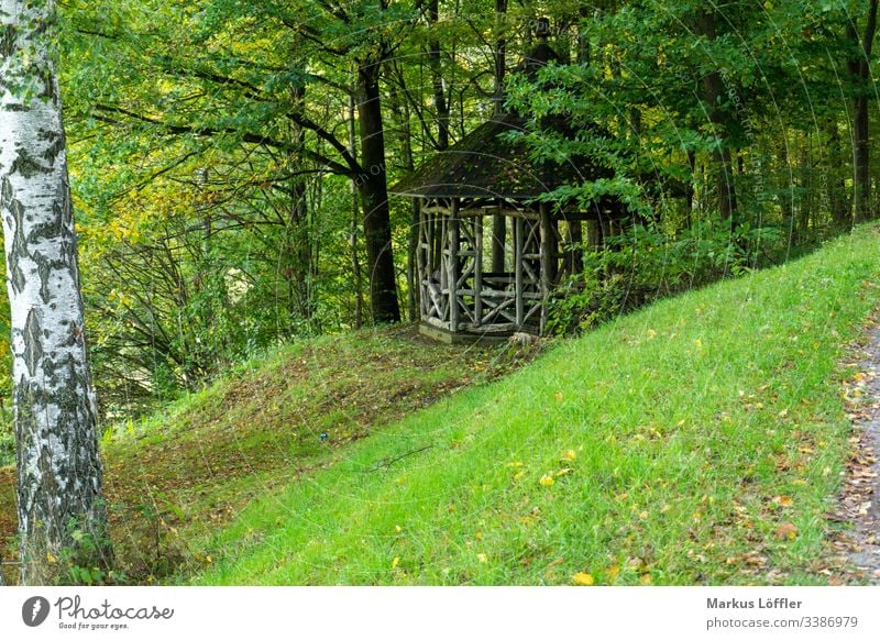 gazebo Forest Forests Green (Green) Landscape Tree Hut