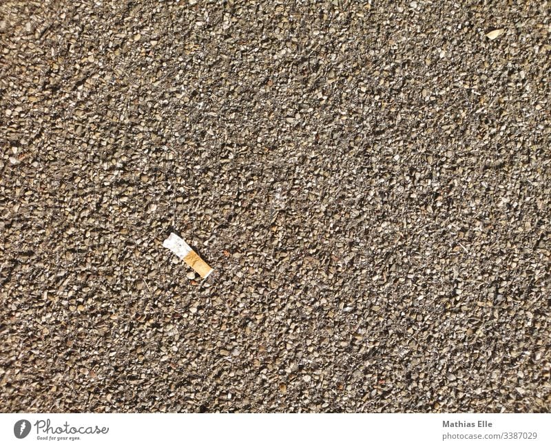 Cigarette butts on the sidewalk Cigarette Butt Smoking Poison Deserted Filter-tipped cigarette Addiction Copy Space top cease glowing nicotine stick