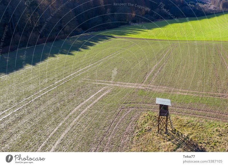 #The high seat from above Hunting Blind Above Nature Tall Agriculture Field