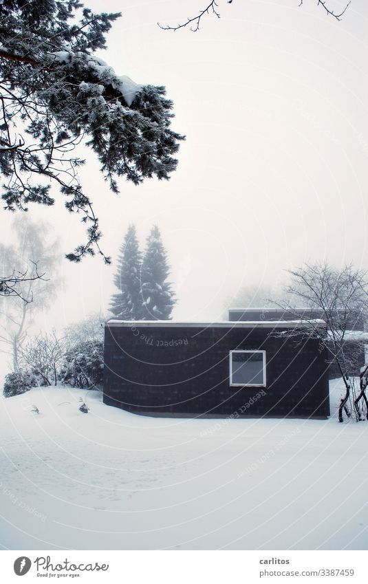 Dark hut in light snow Harz Winter Snow depression Loneliness House (Residential Structure) bungalow Window Square Black White trees bushes