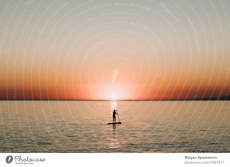 Woman paddling on a board on the sea in sunset activity background beautiful boarding enjoying evening female girl harmony healthy horizon landscape lifestyle