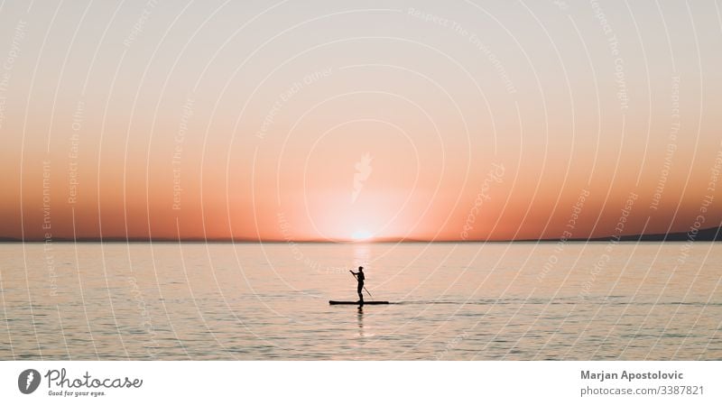 Woman paddling on a board on the sea in sunset activity background beautiful boarding enjoying evening female girl harmony healthy horizon landscape lifestyle