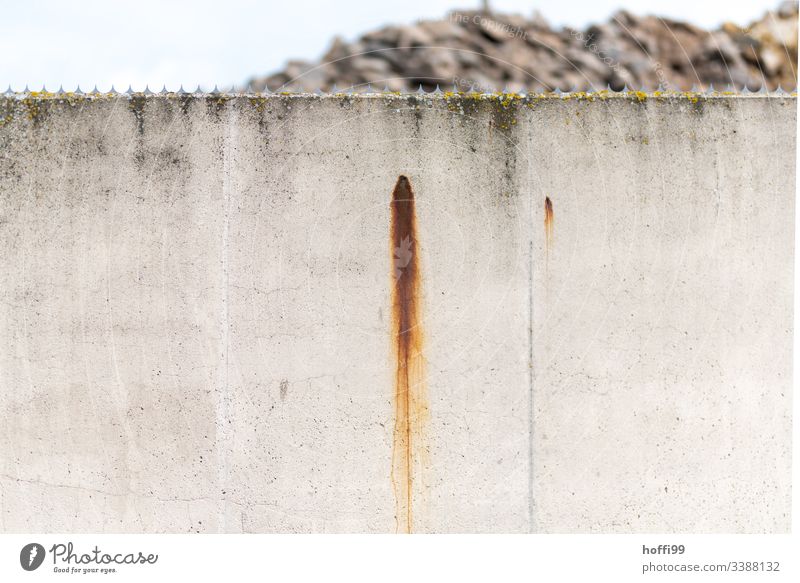 Rust marks on exposed concrete wall with crown of thorns rust spots rust stains russet Concrete wall Deserted shallow depth of field f1.4 russeting Tracks