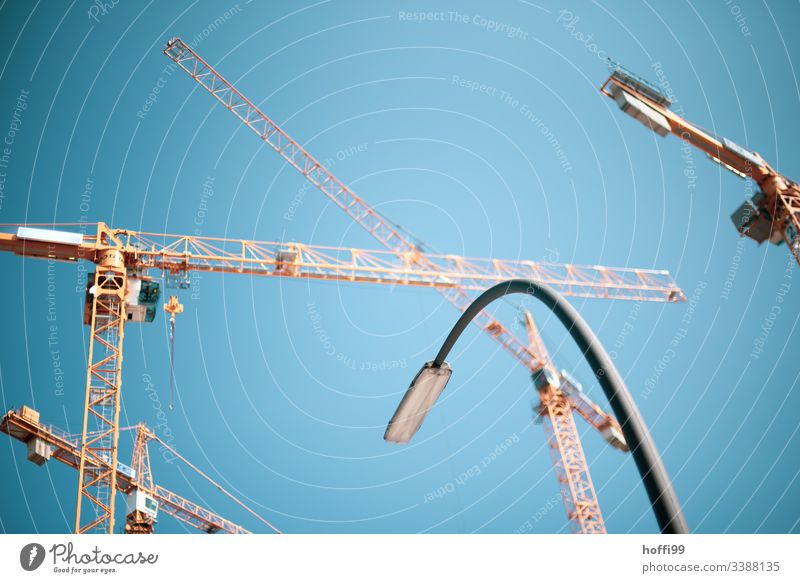 Construction cranes with street lamp in front of a blue sky Crane Street lighting Blue sky shallow depth of field Isolated Image Sky Deserted Exterior shot