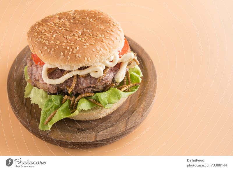 Burger of endible worms  with tomato and lettuce bread brown background burger edible fried insect larva meat protein tomatoes wooden plate