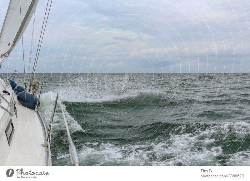 sail Sailing Baltic Sea Ocean Waves Wind Water Sailboat Exterior shot Colour photo Deserted Horizon Sailing ship Far-off places Navigation Boating trip