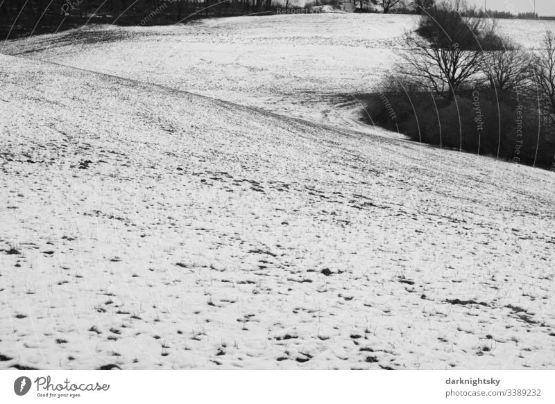 Scene from the Wildenburg region near Friesenhagen with snow-covered willow and some trees. Harmonious Hiking Tourism Trip Winter Snow Environment Landscape