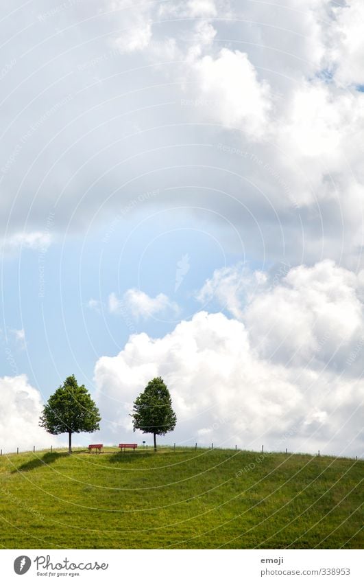 couple photo Environment Nature Landscape Sky Clouds Beautiful weather Tree Meadow Field Natural Green Symmetry Hill In pairs 2 Colour photo Exterior shot