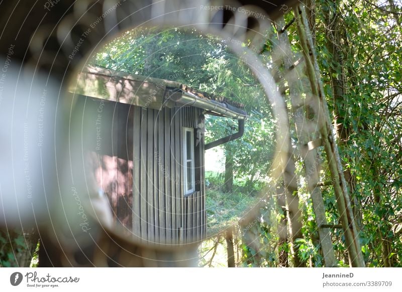 the garden in the mirror tree huts Exterior shot Nature Deserted Light late summer Deciduous tree Beautiful weather Environment Agriculture natural