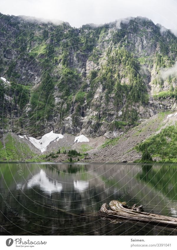 Lake 22 mountain lake cliffs Rock USA Americas see mountains Water snowfield sheep Forest huts Nature wood Fog Sky Landscape