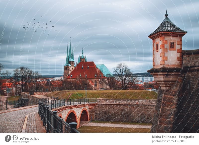 View from the citadel Petersberg to the Erfurt cathedral Dome Thuringia Manmade structures Architecture Tourist Attraction Church Town Europe Tower