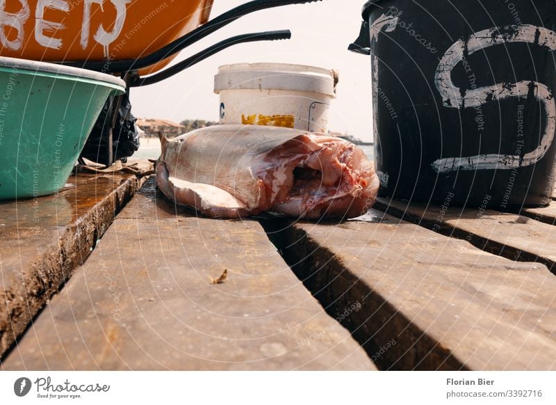 Fresh fishing directly at the jetty for sale Fish catch Markets Ocean Fisherman Profession Life Food Nutrition Fishery Healthy Eating Catch Raw salubriously