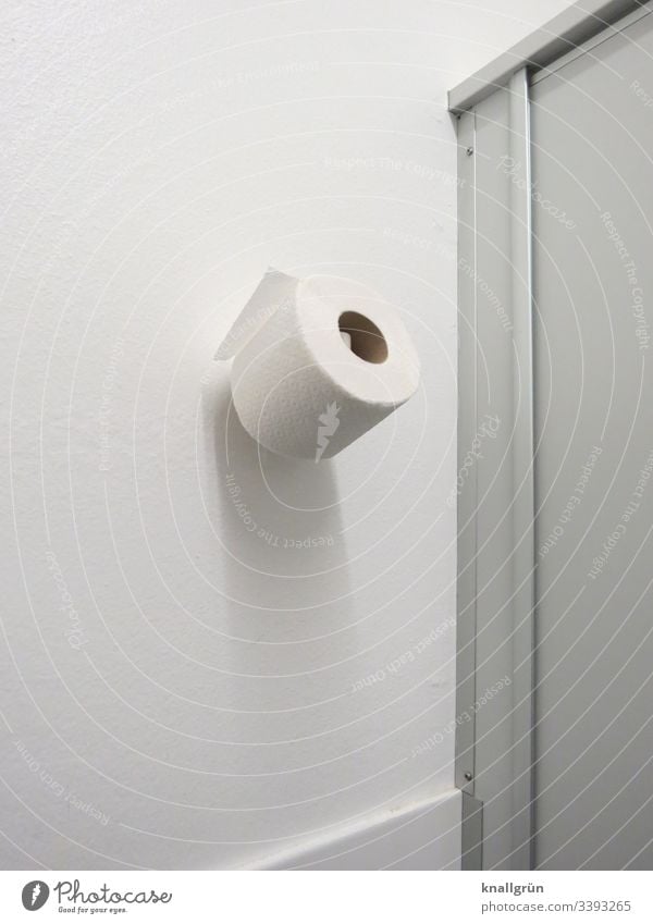 Spare roll of toilet paper hanging on the wall in a public toilet Toilet paper Replacement roll Public restroom Wall (building) Deserted Colour photo White Day