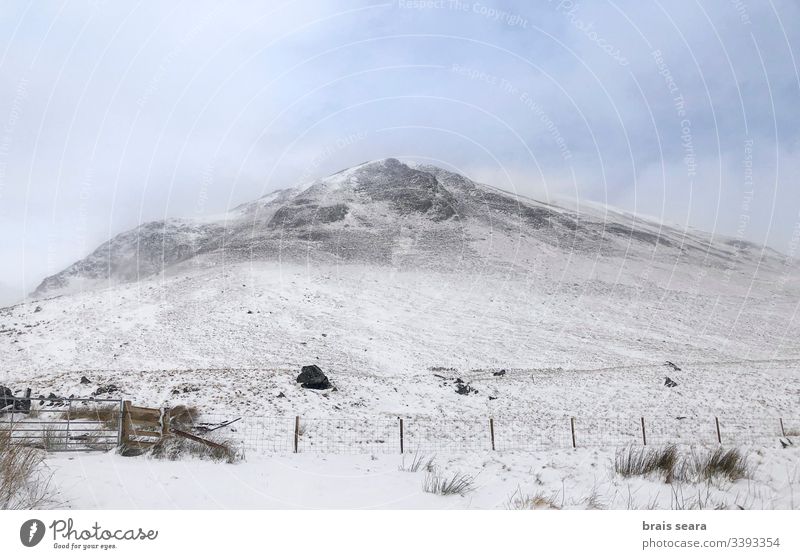 Scottish snowy mountain landscape. Cairngorms National Park, Scotland.. nature winter scotland winter view white cold weather wild snowflakes climate change